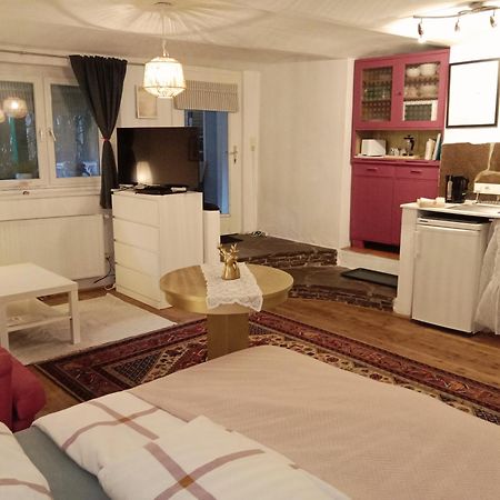 Studio In Altstadthaus 格兰河畔圣法伊特 外观 照片