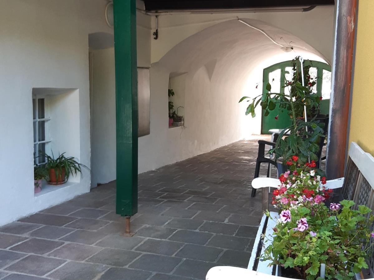 Studio In Altstadthaus 格兰河畔圣法伊特 外观 照片